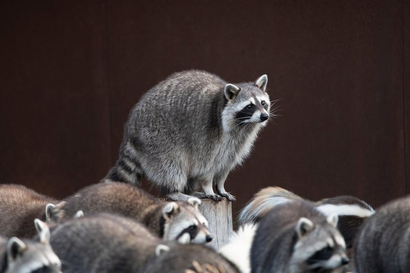 Small gatherings